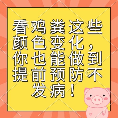 看鸡粪这些颜色变化，你也能做到提前预防不发病！