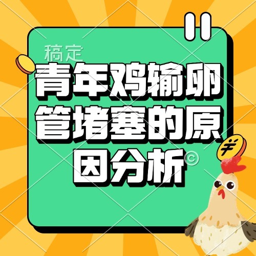 青年鸡输卵管堵塞的原因分析