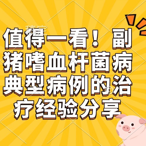 值得一看！副猪嗜血杆菌病典型病例的治疗经验分享
