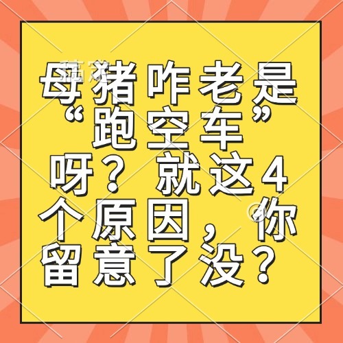 母猪咋老是“跑空车”呀？就这4个原因，你留意了没？