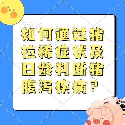 如何通过猪拉稀症状及日龄判断猪腹泻疾病？