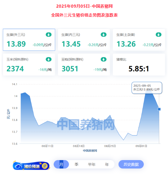 正大猪博士
