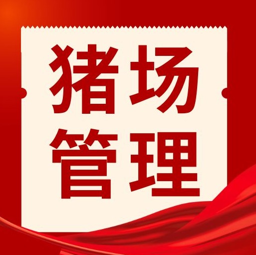 母猪配种后咋管理？转圈、饲料、查返情全攻略来啦！