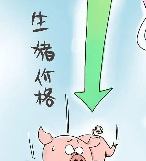 年内猪价首次跌破14元/kg 头部养殖企业整体利润率出现阶段性回落……