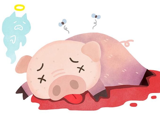 检测非瘟抗体在非洲猪瘟防控中的重要意义