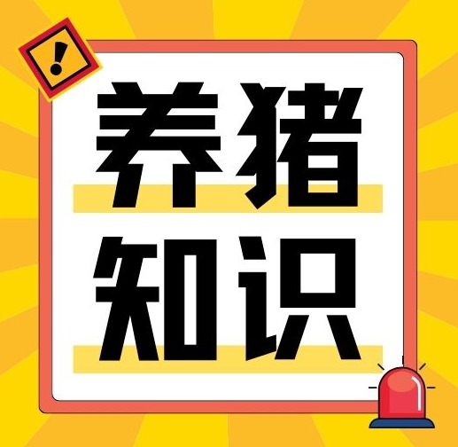 仔猪少见病来袭，养殖户如何见招拆招？