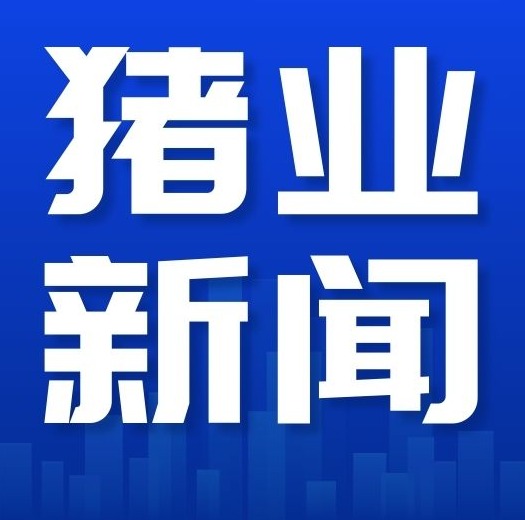 聚焦“母猪产能调控”：生猪产能调控座谈会召开，头部企业明确不新增