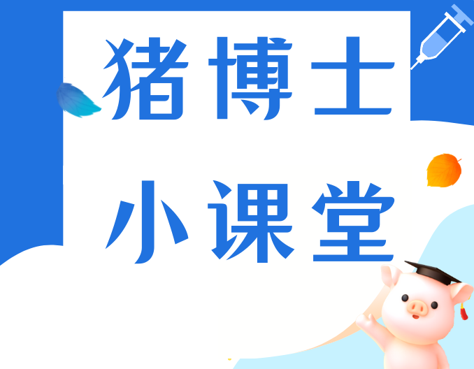 仔猪保温，一年四季都必须做好！怎么有效预防猪腹泻？