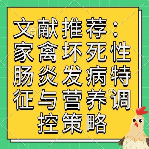 文献推荐：家禽坏死性肠炎发病特征与营养调控策略