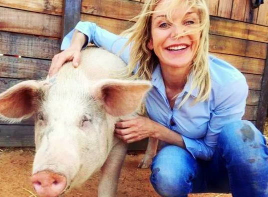 新知识：一招教你快速缩短母猪产程！牛了！