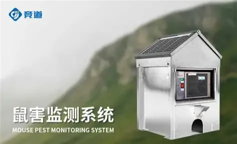 养殖场鼠害的危害机理与综合防治体系构建