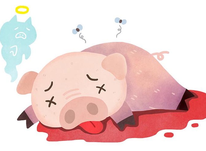 秋季是母猪发生流产的高危季节，如何预防？