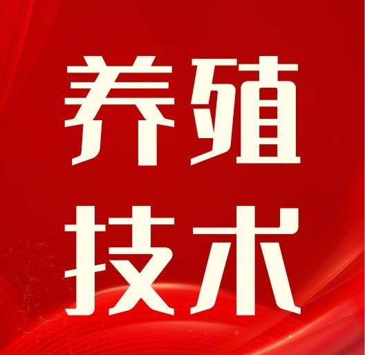 母猪什么症状都没有就流产了？事出必有因