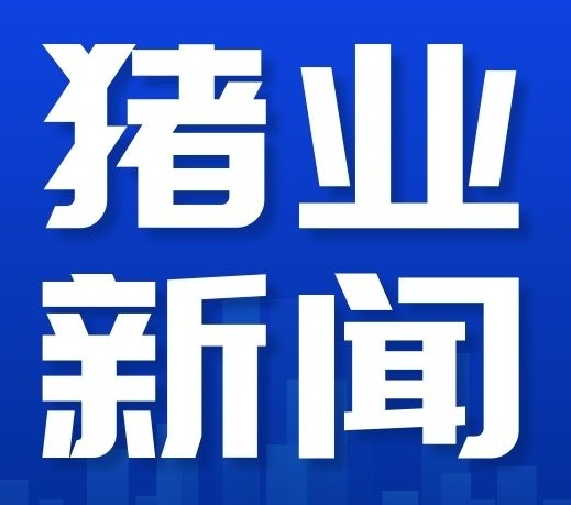 生猪行情缘何低迷？冻猪肉收储托稳市场预期