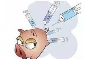 保育舍仔猪驱虫方案