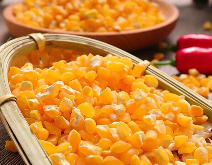 如何做好饲用玉米的品质控制？