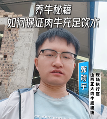 养牛秘籍：如何保证肉牛充足饮水