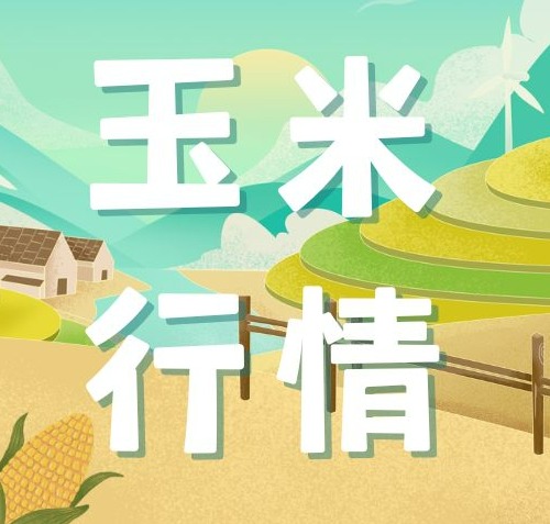 2025年10月11日全国各省市玉米价格行情，新作玉米霉变增多，玉米价格弱势走低！