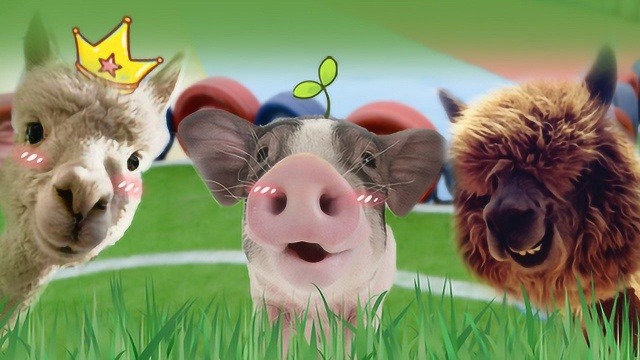 7年来最低猪价背后:三记耳光打醒整个养猪业!最后一点太扎心!