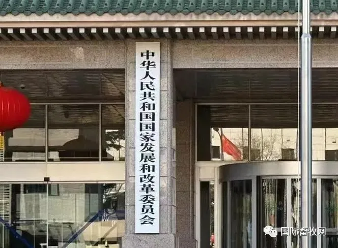 生猪亏损加大、肉鸡蛋鸡全面亏损 || 国家发改委:生猪每头亏209元;肉鸡每只亏1.2元;蛋鸡每只亏