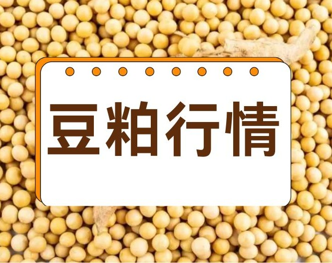 我国9月份进口大豆1287万吨，创单月次高，历史同期新高纪录