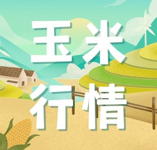2025年10月15日全国各省市玉米价格行情，农户认卖情绪高涨，玉米价格持续走低！