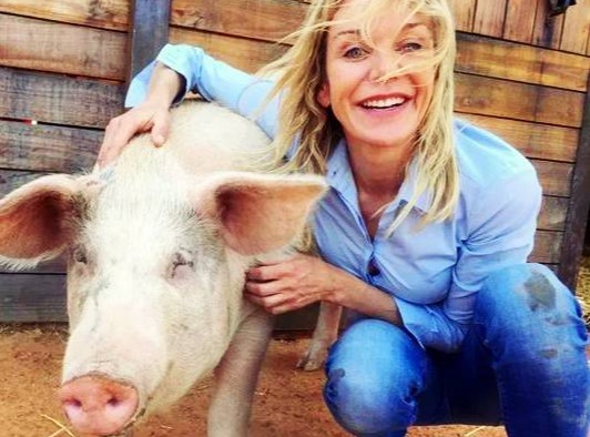 涨涨涨！猪价稳中有涨！2025年10月16日-今日最新猪价行情