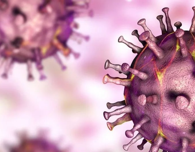 猪粪便可以判断出猪生了什么病吗？这几点要知道