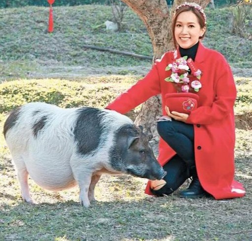 【今日猪价】10月23日生猪报价！（附最新报价表）