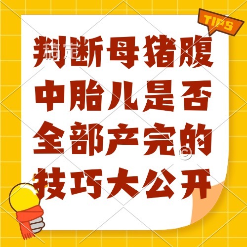 判断母猪腹中胎儿是否全部产完的技巧大公开