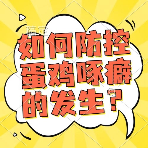 如何防控蛋鸡啄癖的发生？