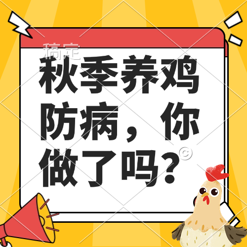 秋季养鸡防病，你做了吗？