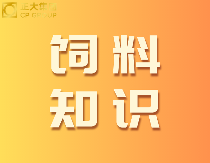 新玉米为何成为“霉菌炸弹”？