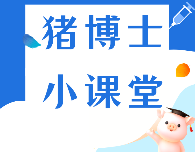 后备母猪培育管理如何影响母猪场效能？