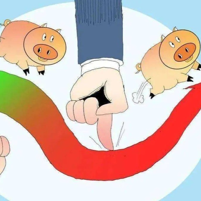 生猪市场迎来“至暗时刻”，背后真相令人揪心