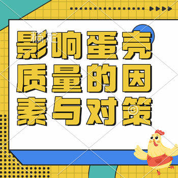 影响蛋壳质量的因素与对策