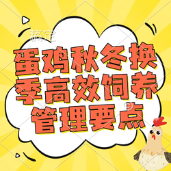 蛋鸡秋冬换季高效饲养管理要点