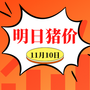 11.10明日猪价早知道，全国最新猪价信息