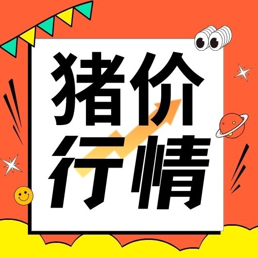 腌腊季“遇冷”？猪价反弹乏力