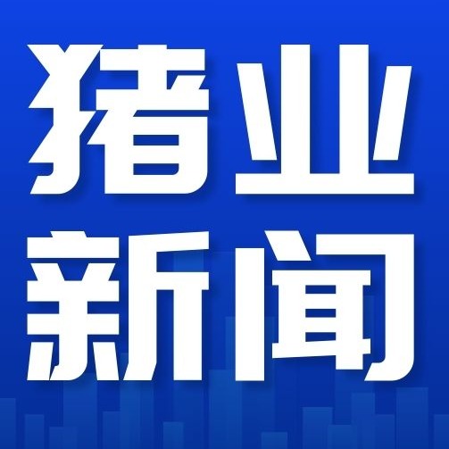 生猪养殖步入“微利时代”，行业将何去何从？