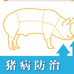 育肥猪常见疾病