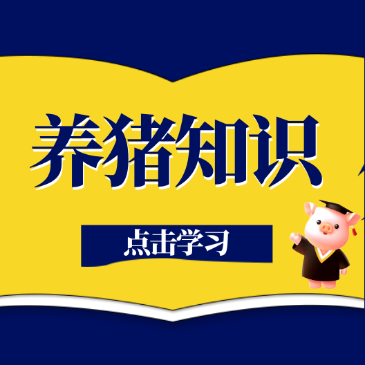 母猪二胎综合征频发？背后原因和解决妙招在此！
