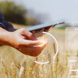 全球主要玉米出口国竞争力比较（2025年第一期）