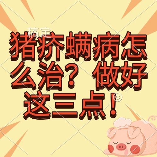 猪疥螨病怎么治？做好这三点！