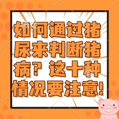 如何通过猪尿来判断猪病？这十种情况要注意!