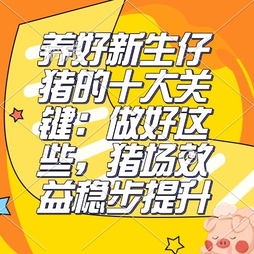 养好新生仔猪的十大关键：做好这些，猪场效益稳步提升