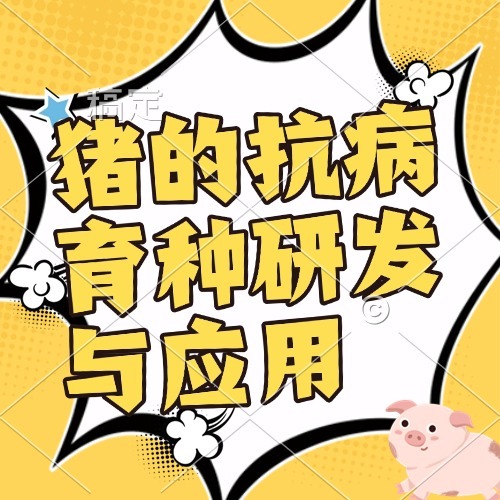 猪的抗病育种研发与应用