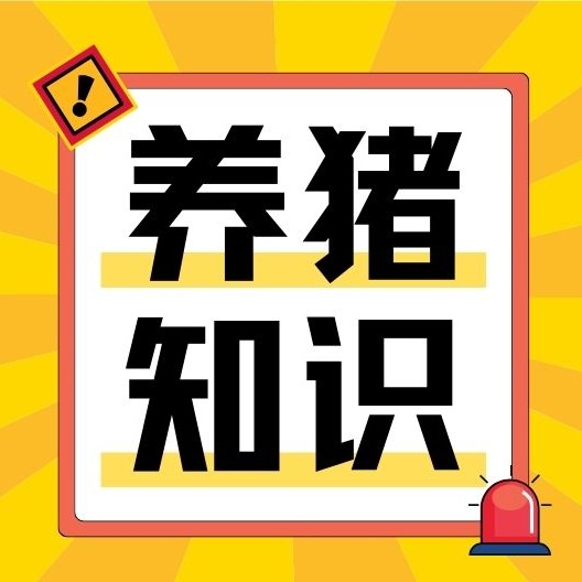 养殖户必知：非瘟发病规律、新特征及精准拔牙全攻略