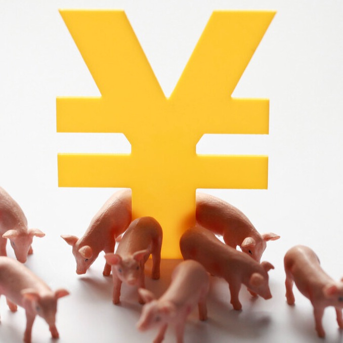 涨涨涨！猪价“火箭”上涨！二育进场叠加压栏惜售，近期猪价企稳，市场后续将迎哪些变化？