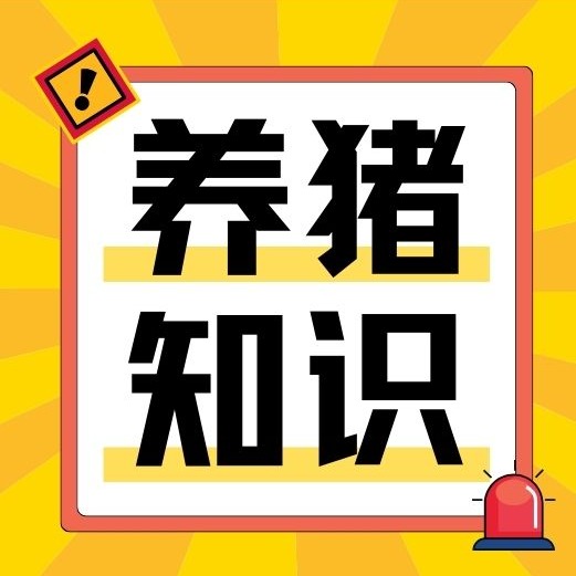 猪脱肛频发，究竟是何原因？又该咋解决？